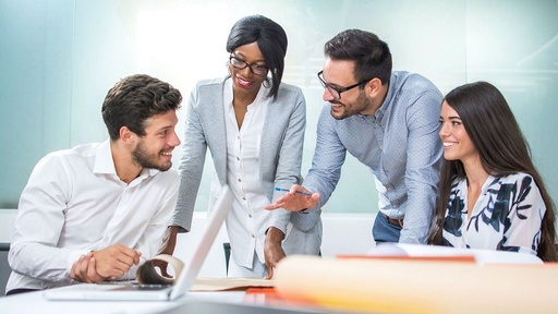 [consult] Odoo Consultancy